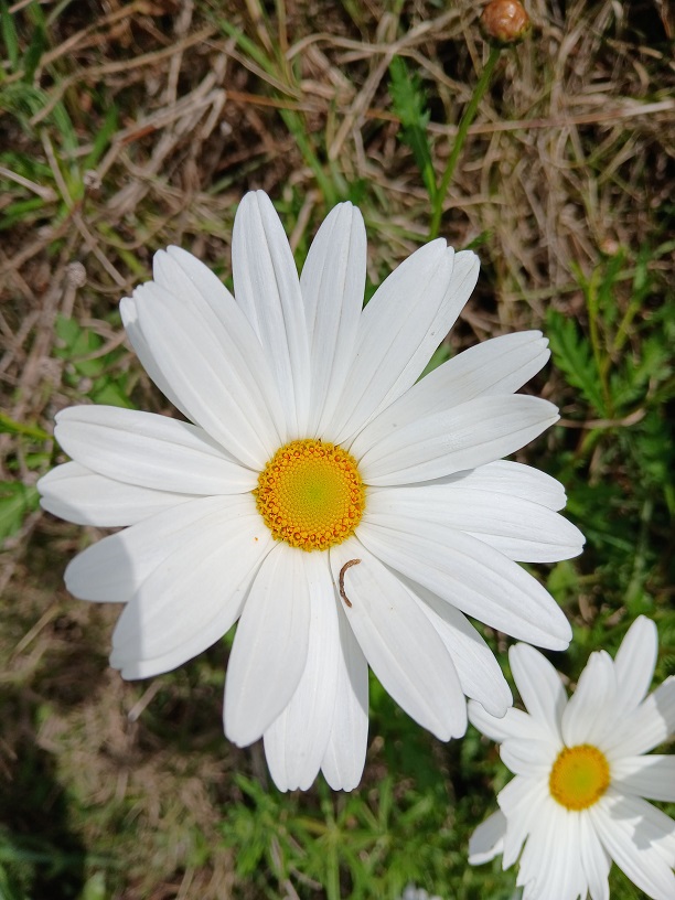 No s'ha trobat l'arxiu